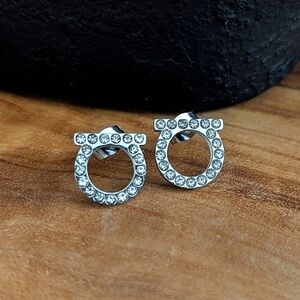 Silver Color Crystal Earrings Glam Luxury Stainless Steel
